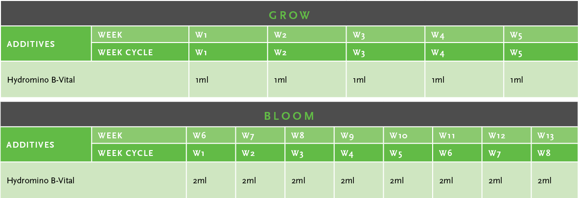 Hydromino B-Vital Usage Guide Table