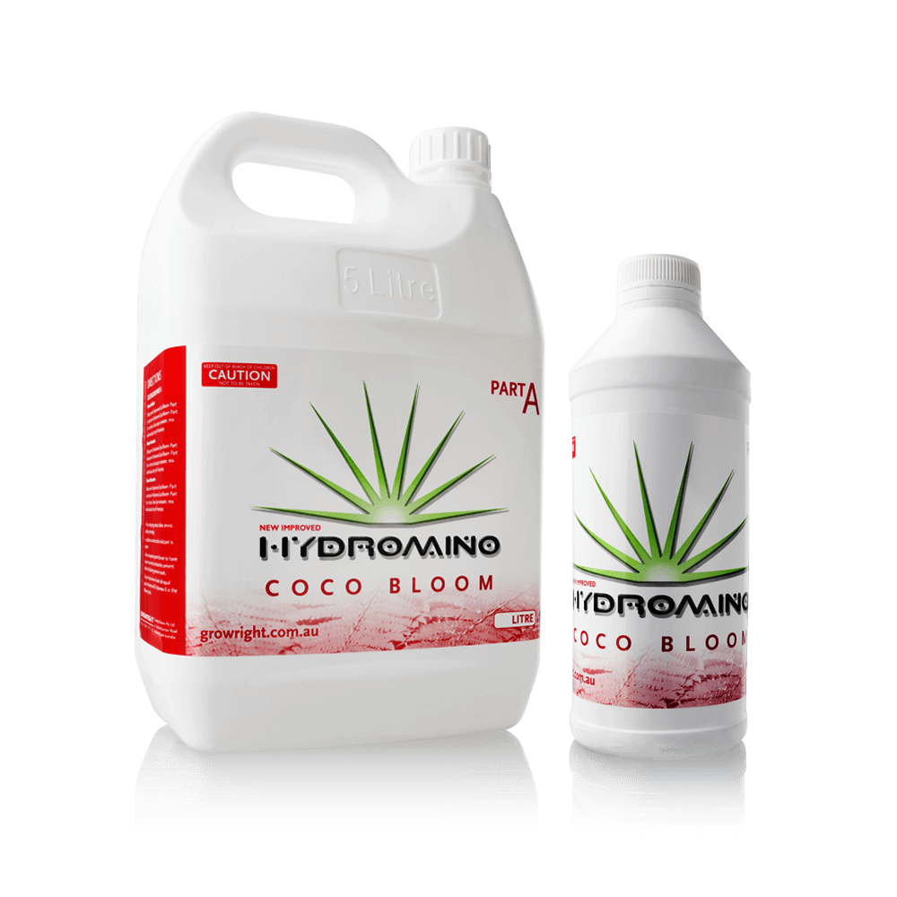 Hydromino Coco Bloom